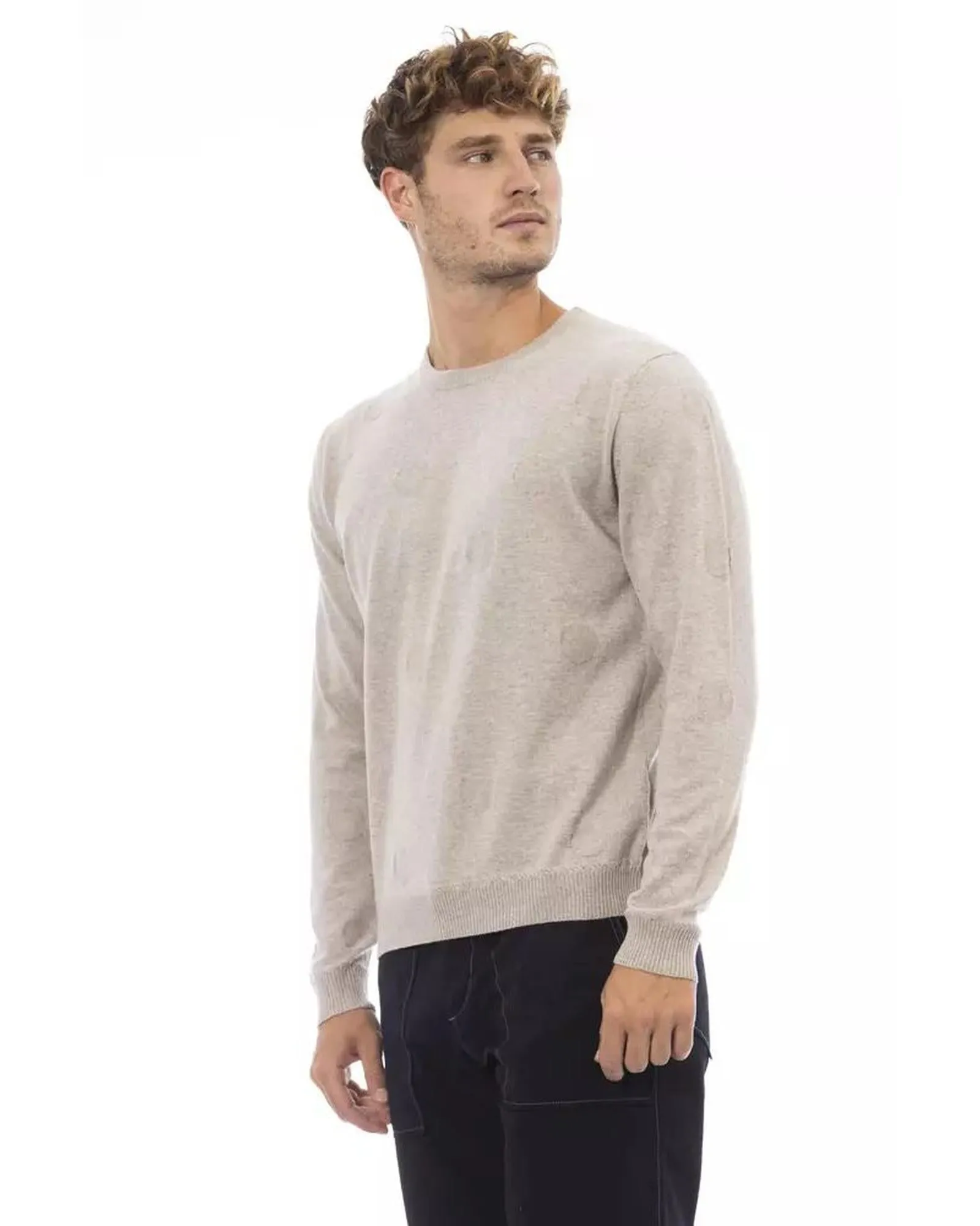 Versatile Beige Sweater with Crewneck Design